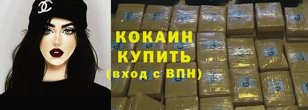 спиды Грязовец