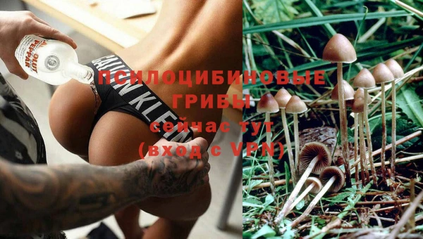 скорость mdpv Пересвет