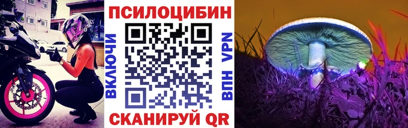 Галлюциногенные грибы Cubensis  Зерноград 