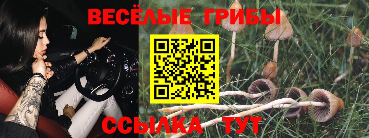 Галлюциногенные грибы мухоморы  купить  цена  Зерноград  Вход с VPN 
